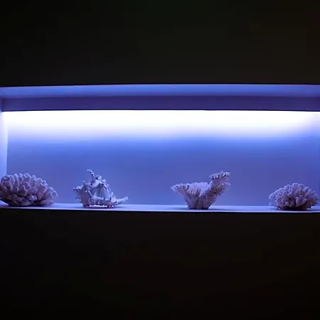 Aqua Ria Boutique Hotel
