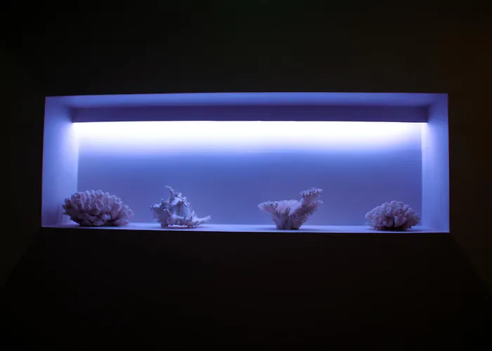 Hotel Aqua Ria Boutique 3*