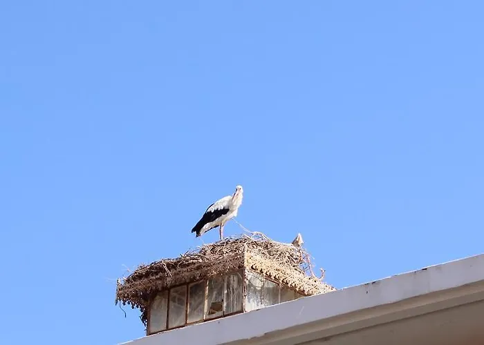 Aqua Ria Boutique Hotel 3*