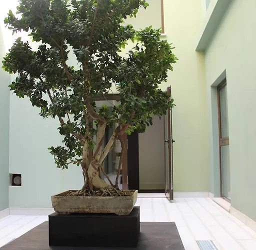 Aqua Ria Boutique 3* Distrikt Faro